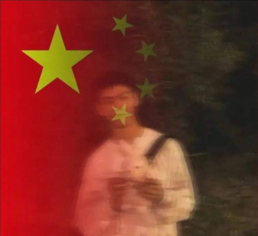 动物帮帮忙保卫家园